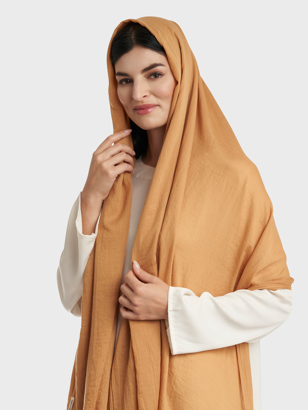 Camel 1