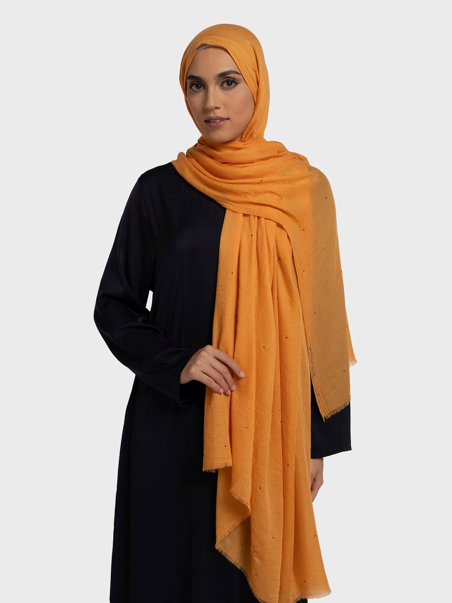 Apricot 2