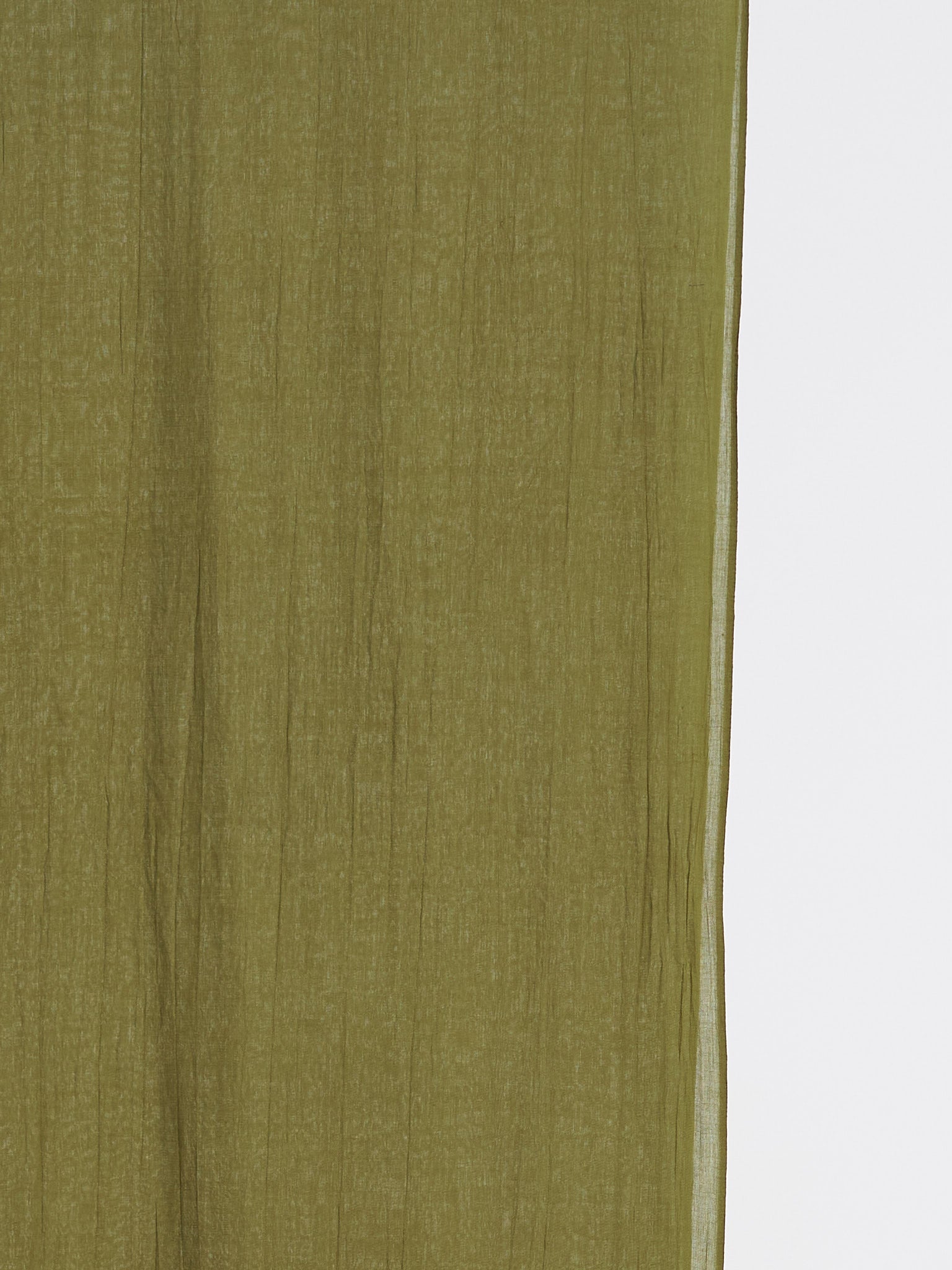 Olive 2
