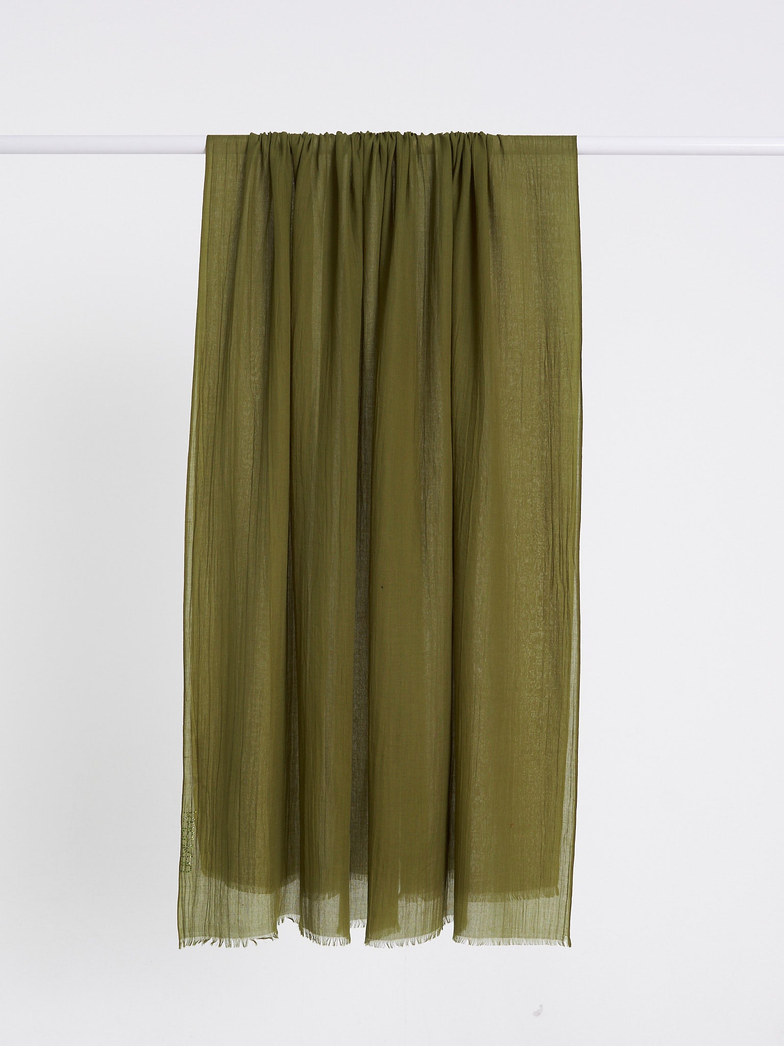 Olive 1